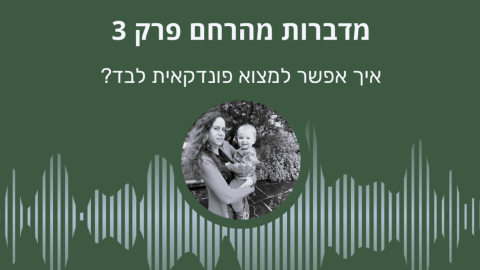 מציאת פונדקאית בישראל